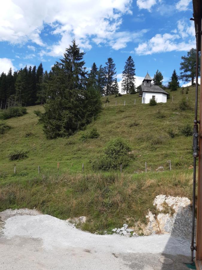 Sonnleit'n 6 Farm stay