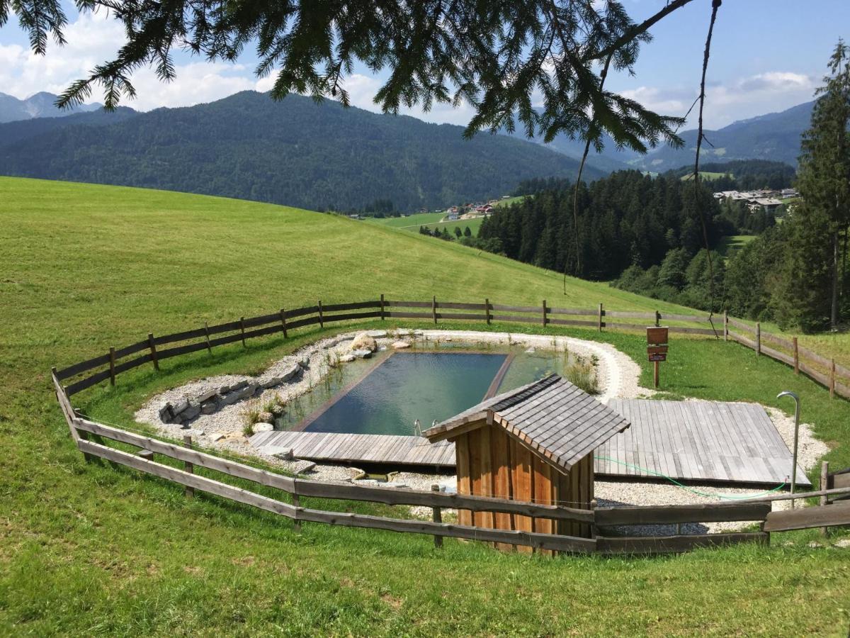 Sonnleit'n 6 * Abtenau