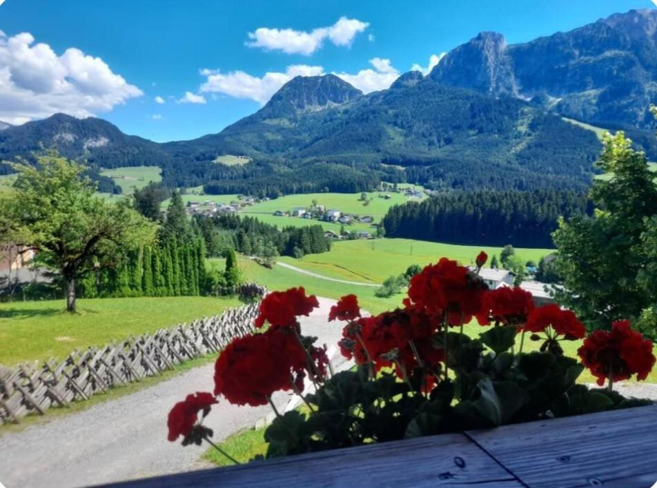 Sonnleit'n 6 Farm stay *